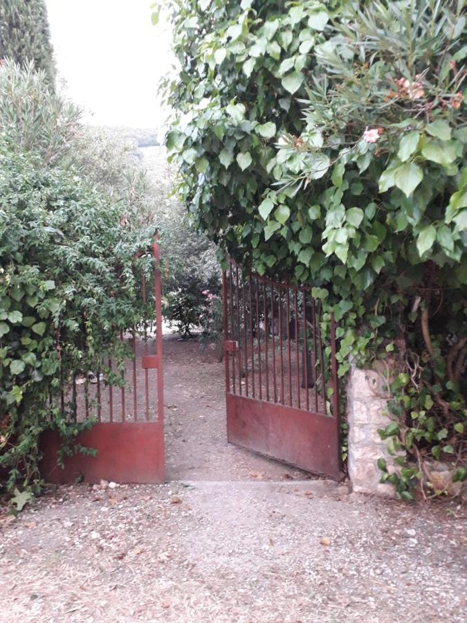 La Palombaia Guest House Spoleto Exterior photo