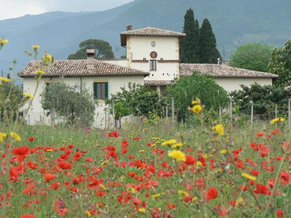 La Palombaia Guest House Spoleto Exterior photo